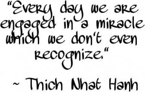 "Every day we are engaged in a miracle which we don't even recognize." ~ Thich Nhat Hanh